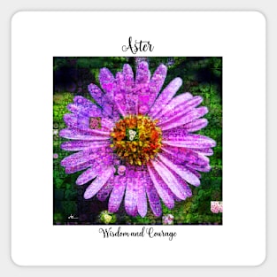 Aster Birth Month Flower September Magnet